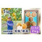 ふるさと納税 梨 新潟県 加茂市 2025年先行予約 青柳果樹園の和梨 新高 2kg(3〜5玉)《10月上旬から出荷》にいたか フルーツギフト 加茂市 青柳果樹園