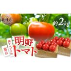 野菜類 トマト 明野とまと 約2kg