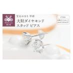 アクセサリー ピアス 甲府ジュエリー Deliciae