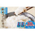 最短翌日発送 新米 コシヒカリ 令和8年産 10kg