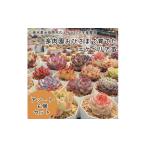 花 苗木 多肉植物 エケベリア苗アソート6個セット