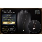 アクセサリー ネックレス クールなアコヤ真珠Y字スライドチ…