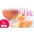ふるさと納税 もも 山形県 - 《先行予約 2026年度発送》白桃(品種おまかせ) 5kg もも モモ 桃 デザート フルーツ 果物 くだもの 果実 食品 山形県 FSY-0706