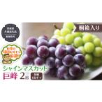 ぶどう マスカット 桐箱入り シャインマスカッ