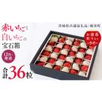 果物の詰合せ つくばみらい市 お 熨斗付 赤いちごと白いち…