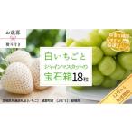 果物の詰合せ お 熨斗付 シャインマスカットと白いちごの