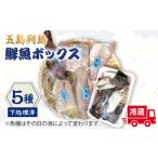 旬の鮮魚等 下処理済 冷蔵 五島列島 鮮魚ボックス 5種