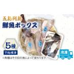 旬の鮮魚等 下処理済 冷凍 五島列島 鮮魚ボックス 5種