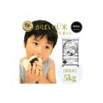 ふるさと納税 佐賀県 みやき町 CI450_【がばい！U米(うまい)】≪無洗米≫お徳用１０ｋｇ！ （５ｋｇ×２袋）　家庭用　生活応援【訳あり】 おすすめ　人気ブラ…