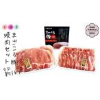 豚肉 バラ まごころ豚 焼肉セット 500g