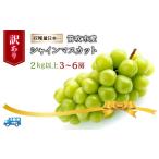 ショッピングふるさと納税 先行予約 ふるさと納税 山梨県 笛吹市 ＜2024年先行予約＞笛吹市産シャインマスカット（訳あり）3〜6房　2kg以上 210-003