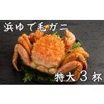 カニ 毛ガニ 78-16 流氷明け浜ゆで毛ガニ