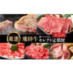 牛肉 セット 飛騨牛 定期便 全5回 毎月 お届け