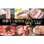 牛肉 セット 定期便 全10回 飛騨牛 結旨豚