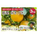 ふるさと納税 新潟県 加茂市 【2024年先行予約】新潟県産 和梨 あきづき 3kg（6〜9玉）《9月中旬以降発送》 果物 フルーツギフト 秋の味覚 加茂市 梨工房みつ…