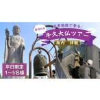 体験チケット 牛久大仏 胎内 拝観 ツアー 平日