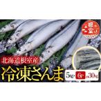魚貝類 さんま B-76001 根室産 冷凍さんま5尾×6P 計30尾