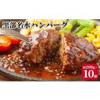 ふるさと納税 豚肉 ハンバーグ 富山県 黒部市  No.5313-0354 黒部名水ハンバーグ10個セット／ふるさと納税／富山県黒部市