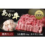 牛肉 セット 上 R8年熊本地震復興支援 くまもとあか牛
