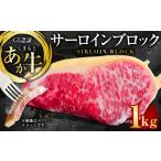 牛肉 サーロイン 上 R8年熊本地震復興支援