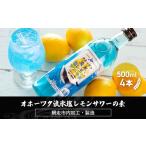 お酒 リキュール オホーツク流氷塩レモンサワーの素 500ml×…