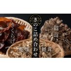 野菜類 きのこ 七つ森ふもと舞茸 詰め合わせ