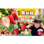 fu.... налог body . билет Tochigi префектура подлинный холм город 2027 год 2 месяц после отправка предшествующий предварительный заказ [ клубника .. body . билет ] входить . талон взрослый 2 название l клубника . клубника отдых туристический te...