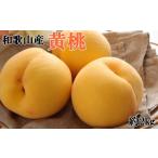 もも 黄桃 つきあかり ゆめおうみ 約2kg