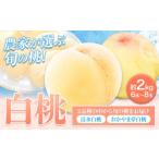 ふるさと納税 もも 岡山県 笠岡市 桃 もも 岡山 約2kg 6〜8玉 白桃 岡山県産 岡山の桃 おかやま夢白桃 清水白桃 おまかせ ブランド桃 旬 果物 フルーツ 甘い《…
