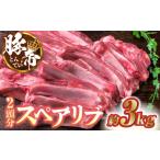 豚肉 豚帝 スペアリブ 2頭分 約3kg
