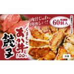 ショッピングギョウザ ふるさと納税 熊本県 山鹿市 GI認証 あか牛 100%使用 餃子 60個(20個入り×3)【くまふる】ギョウザ ぎょうざ 熊本 中華  [ZDX037]