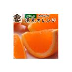 ふるさと納税 みかん・柑橘類 オレンジ 和歌山県 有田川町 ［先行予約］家庭用 清見オレンジ7.5kg+250g（傷み補償分）［光センサー食頃出荷］［樹上完熟きよみ…