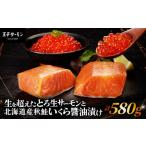 ふるさと納税 魚貝類 サーモン 北海道 苫小牧市 王子サーモン 生を超えた「とろ生サーモン」と北海道産秋鮭 いくら醤油漬セット 計580g T041-001