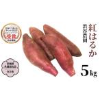 野菜類 サツマイモ 2025年度産 紅はるか 約5kg