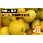 ふるさと納税 みかん・柑橘類 レモン 和歌山県 美浜町 和歌山産 レモン 家庭用 10kg S〜4L混合 訳あり 2026年1月中旬〜3月下旬頃に順次発送予定 北海道・沖縄…