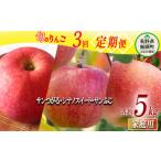 ふるさと納税 りんご 長野県 飯綱町 旬のりんご 定期便 家庭用 5kg × 3回 マルハ農園 沖縄県への配送不可 2025年9月上旬から2025年12月下旬まで順次発送予定 …