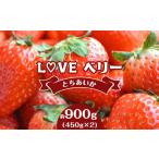 ふるさと納税 いちご 栃木県 真岡市 2026年先行予約 ?LOVE ベリー とちあいか 900g