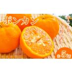 みかん 柑橘類 ポンカン 約5kg