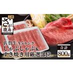 ふるさと納税 牛肉 しゃぶしゃぶ 佐賀県 鹿島市 A5等級 佐賀牛 厳選部位 しゃぶしゃぶ すき焼き用 800g 黒毛和牛 和牛 牛肉 肉 すきやき すき焼き肉 すき焼き …