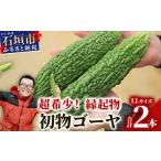 野菜類 予約受付 最優秀賞 受賞の農家 希少品
