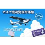 体験チケット ペア セスナ機遊覧飛行体験〈約25分コース〉