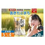 ふるさと納税 無洗米 秋田県 仙北市 無洗米 令和7年産 新米予約 《定期便4ヶ月》秋田県産 あきたこまち 5kg (5kg×1袋) ×4回 5キロ お米 新米