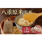 ふるさと納税 玄米 長野県 東御市 令和7年新米予約 3回定期便 八重原米2kg(2kg×1袋)玄米 2025年10月以降順次発送|笹屋農園