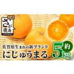みかん 柑橘類 新ブランド 高級 柑橘 にじゅうまる 約5kg
