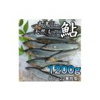 川魚 あゆ 高津川天然あゆ冷凍 1200g