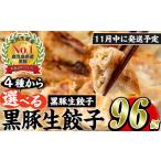 ふるさと納税 餃子 鹿児島県 日置市 No.429-n-m11 2025年11月中に発送予定 鹿児島黒豚使用の黒豚生餃子(計96個・12個入り×8パック)国産 九州産 ぎょうざ ギョ…