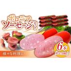 肉 ソーセージ ボロニアソーセージ 600g