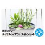 花 苗木 睡蓮鉢グレー あぜなみレイアウト