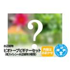 ふるさと納税 花・苗木 群馬県 邑楽町 水辺植物 ビオトープビギナーセット（…