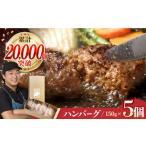 ふるさと納税 牛肉 ハンバーグ 長崎県 波佐見町 ハンバーグ 5個入 累計20,000個突破 ふわとろハンバーグ 長崎和牛 ご自宅用 簡易包装 ワールドミート YF09 牛…